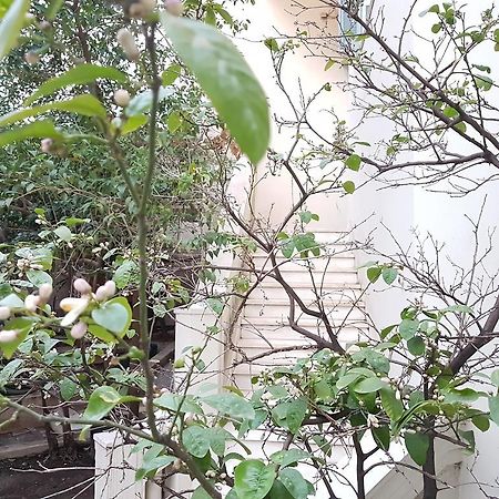 Errathens Aegean Apartment - Athens Center, 5 Bd, 2 Bath 외부 사진