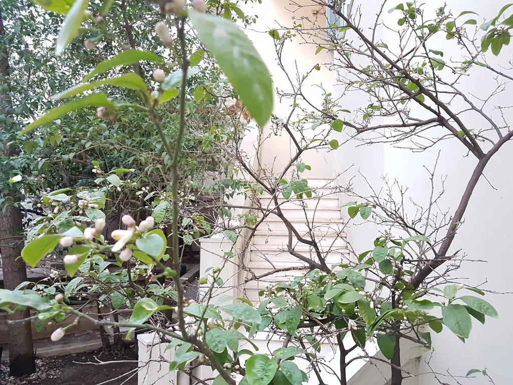 Errathens Aegean Apartment - Athens Center, 5 Bd, 2 Bath 외부 사진